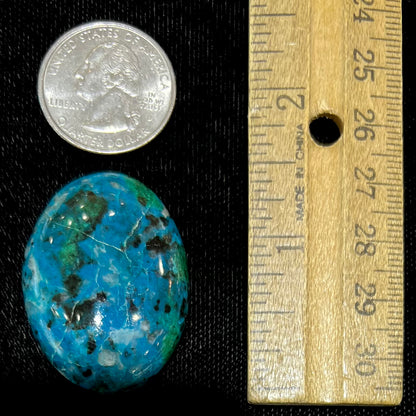 An oval cabochon cut blue chrysocolla with green malachite inclusions.  The stone is being compared to a quarter and wooden ruler.