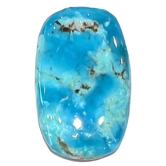 A blue barrel cabochon cut turquoise stone from the Sleeping Beauty Mine.