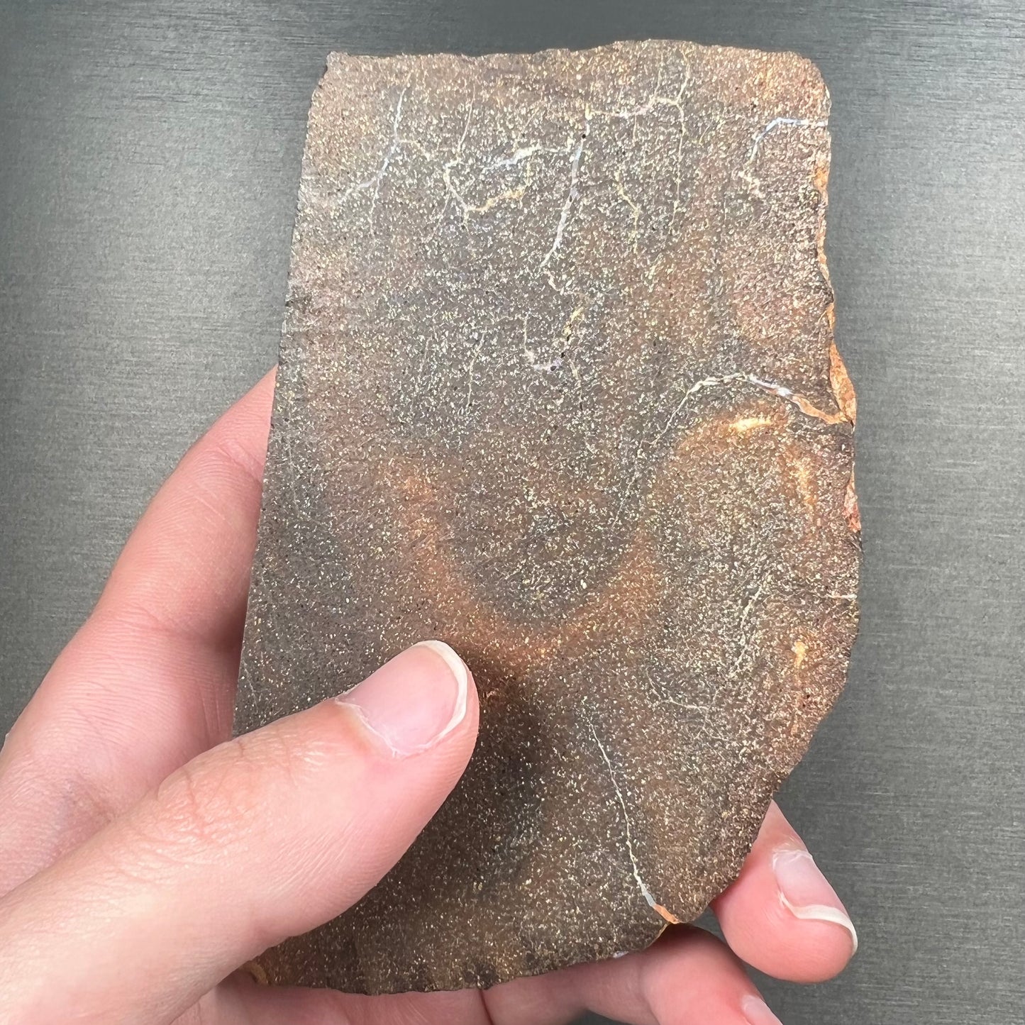 A hand-sized, polished Quilpie boulder opal specimen.  The stone shows blue, green, and orange flashes.