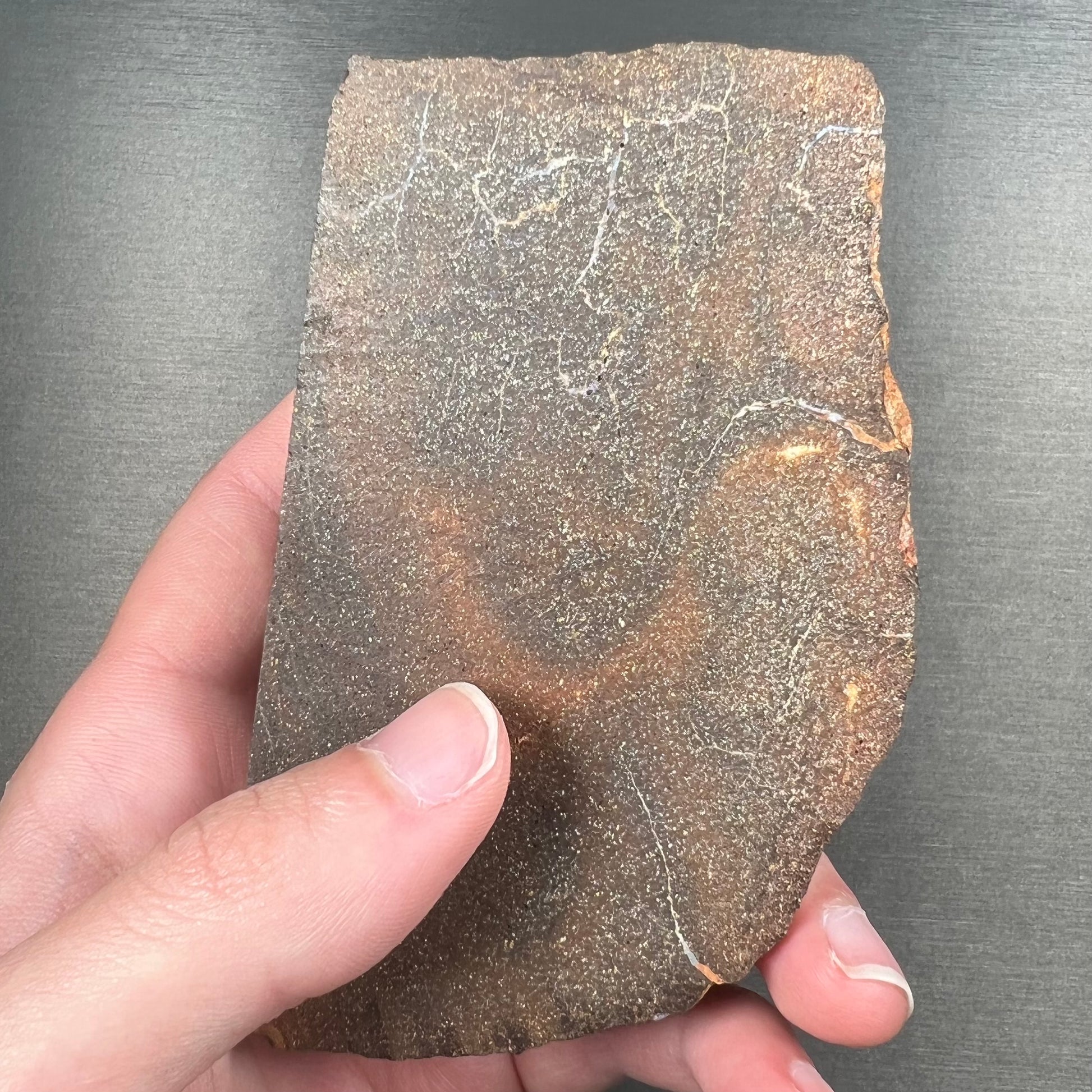 A hand-sized, polished Quilpie boulder opal specimen.  The stone shows blue, green, and orange flashes.