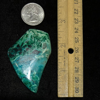 A polished, freeform shaped Eilat stone from King Solomon's Mine, Israel.