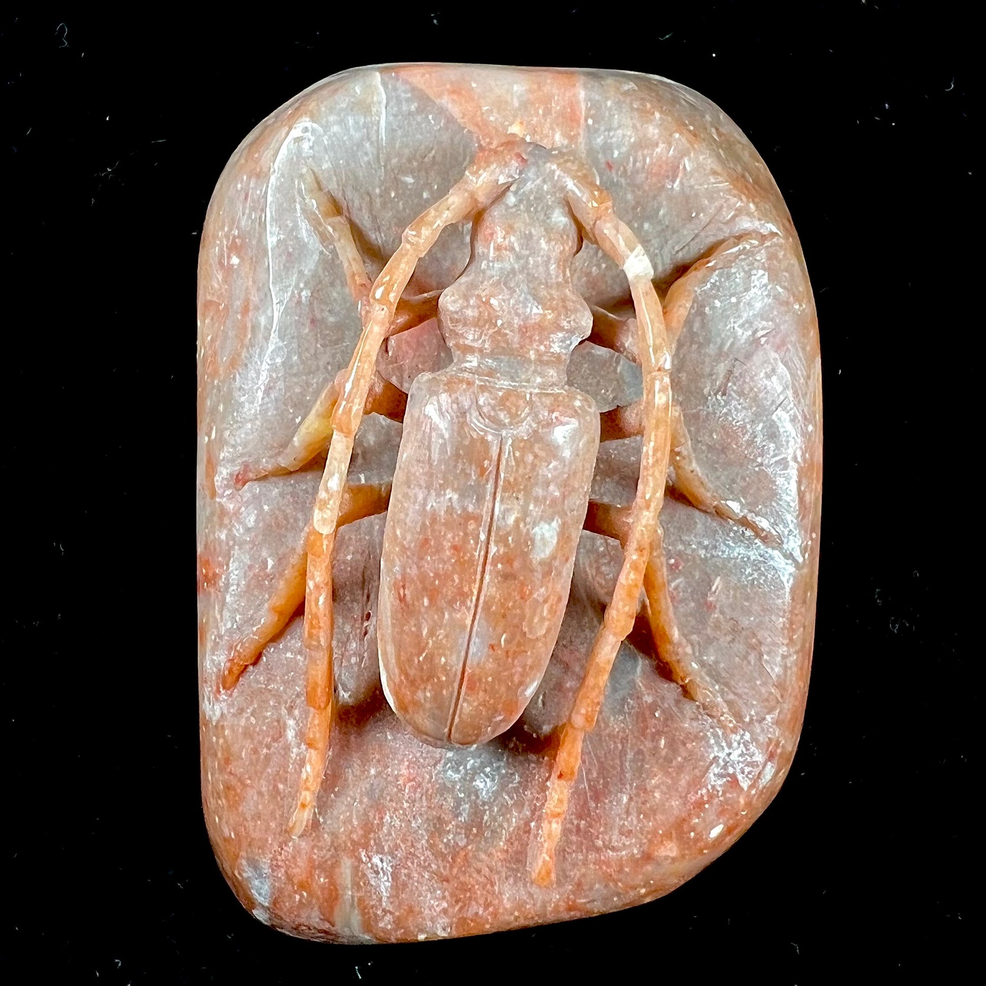 A stone Palo Verde beetle carved from brown jasper.