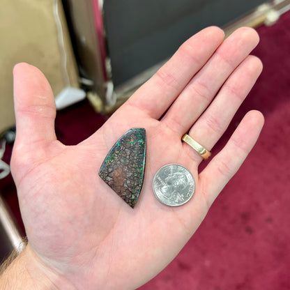 A loose, patterned boulder opal stone from the Koroit Mining District in Queensland, Australia.