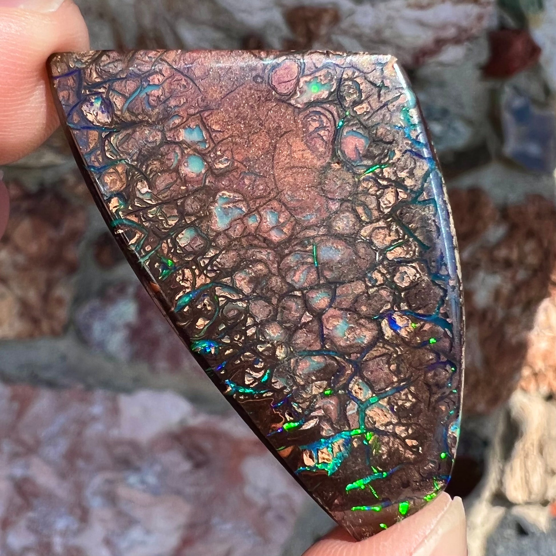 A loose, patterned boulder opal stone from the Koroit Mining District in Queensland, Australia.