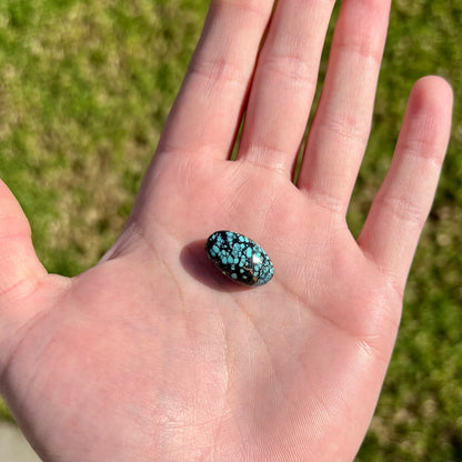 A black spiderweb turquoise stone from Nevada.