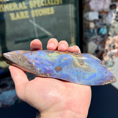 A 7 inch long polished blue Quilpie boulder opal specimen from Queensland, Australia.
