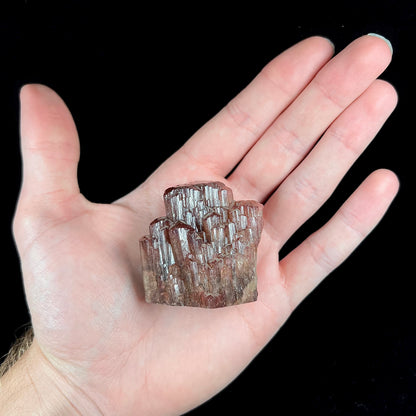 A scene of two dolphins and a starfish carved by artist, Ronald Stevens, from liddicoatite tourmaline crystal.