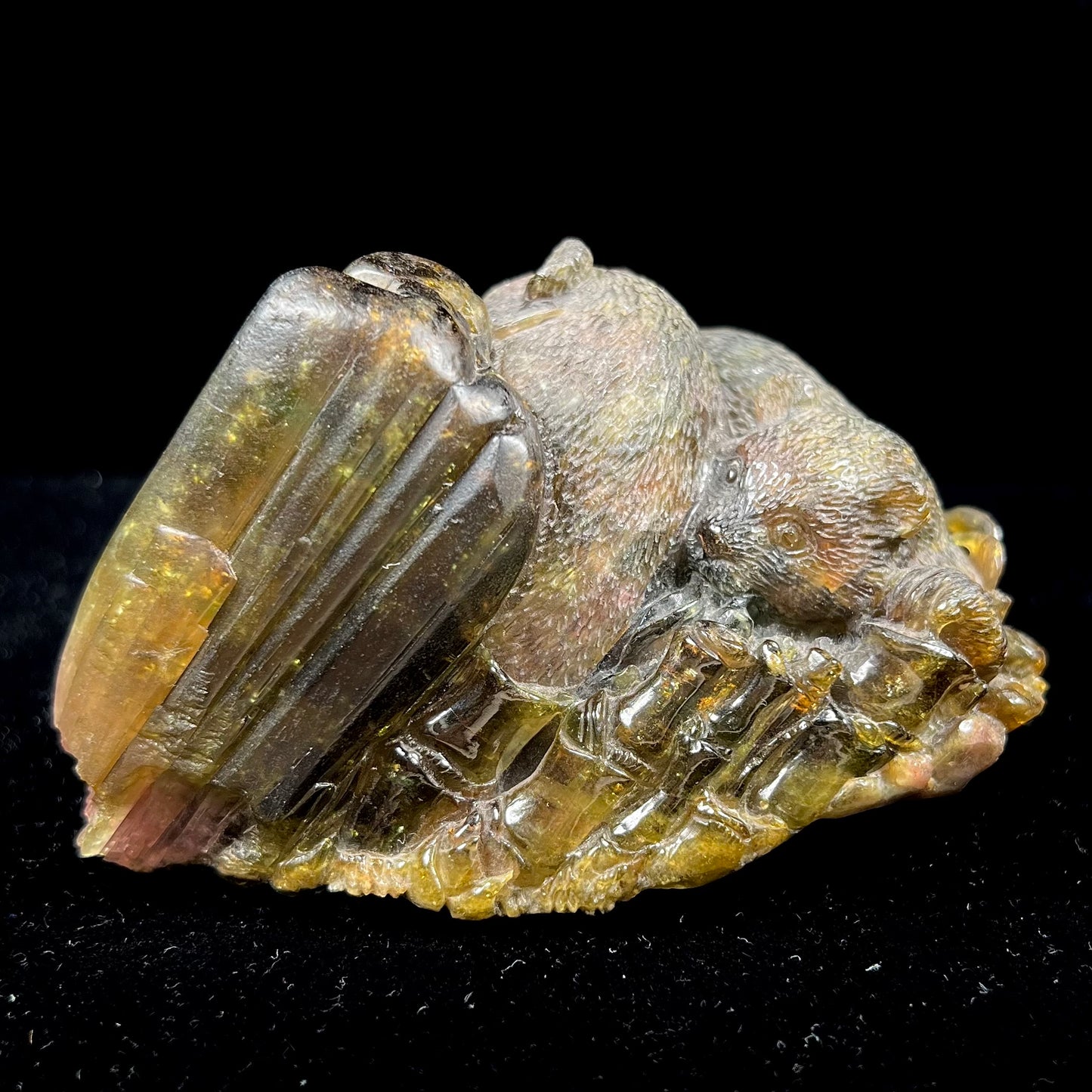 A crystal bear carved from Vietnamese liddicoatite tourmaline by Ronald Stevens.