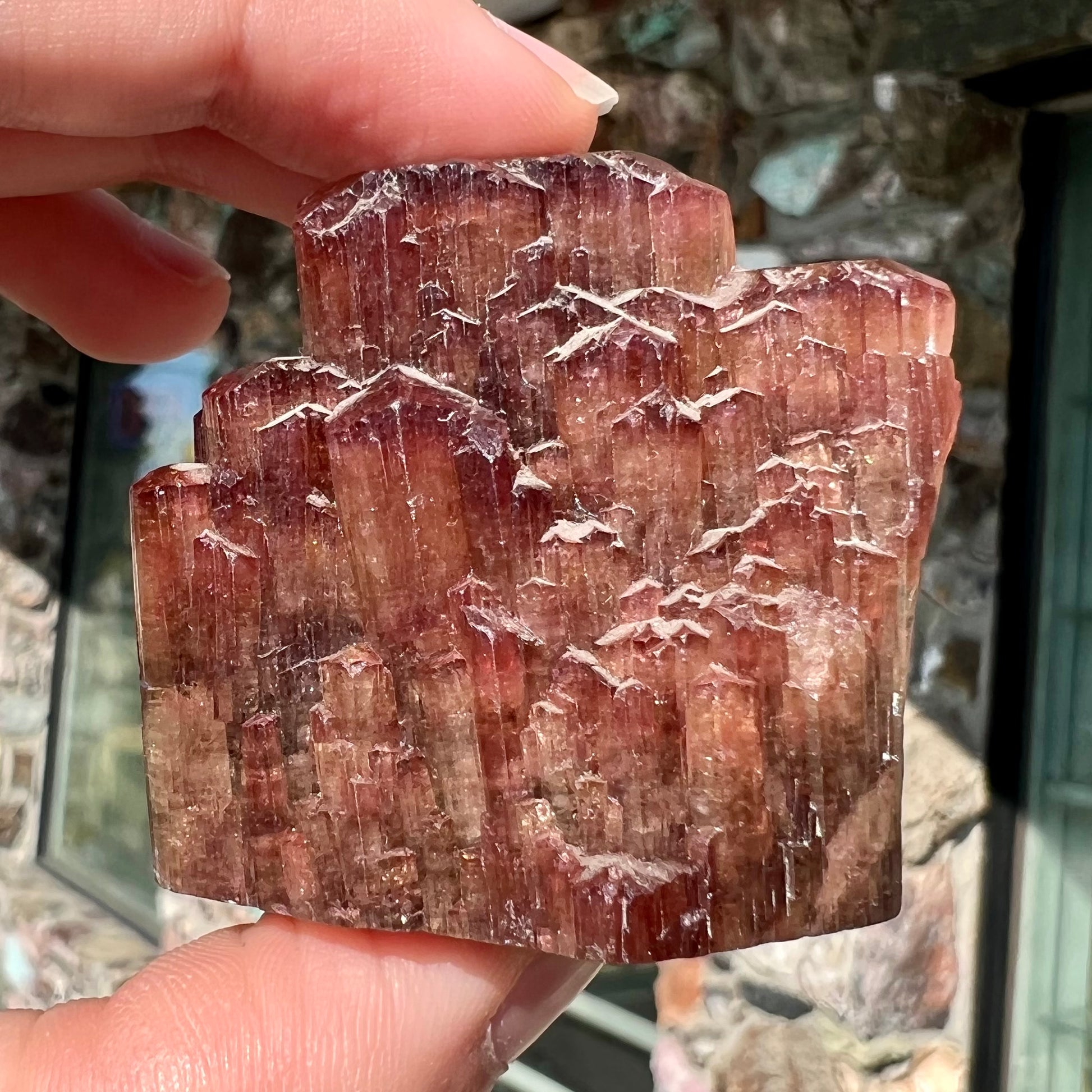 A scene of two dolphins and a starfish carved by artist, Ronald Stevens, from liddicoatite tourmaline crystal.