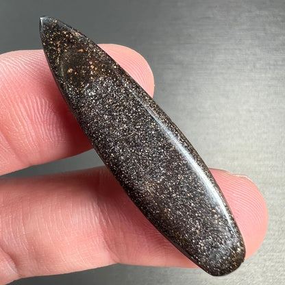 A loose, polished, point shape Quilpie boulder opal stone from Queensland, Australia.
