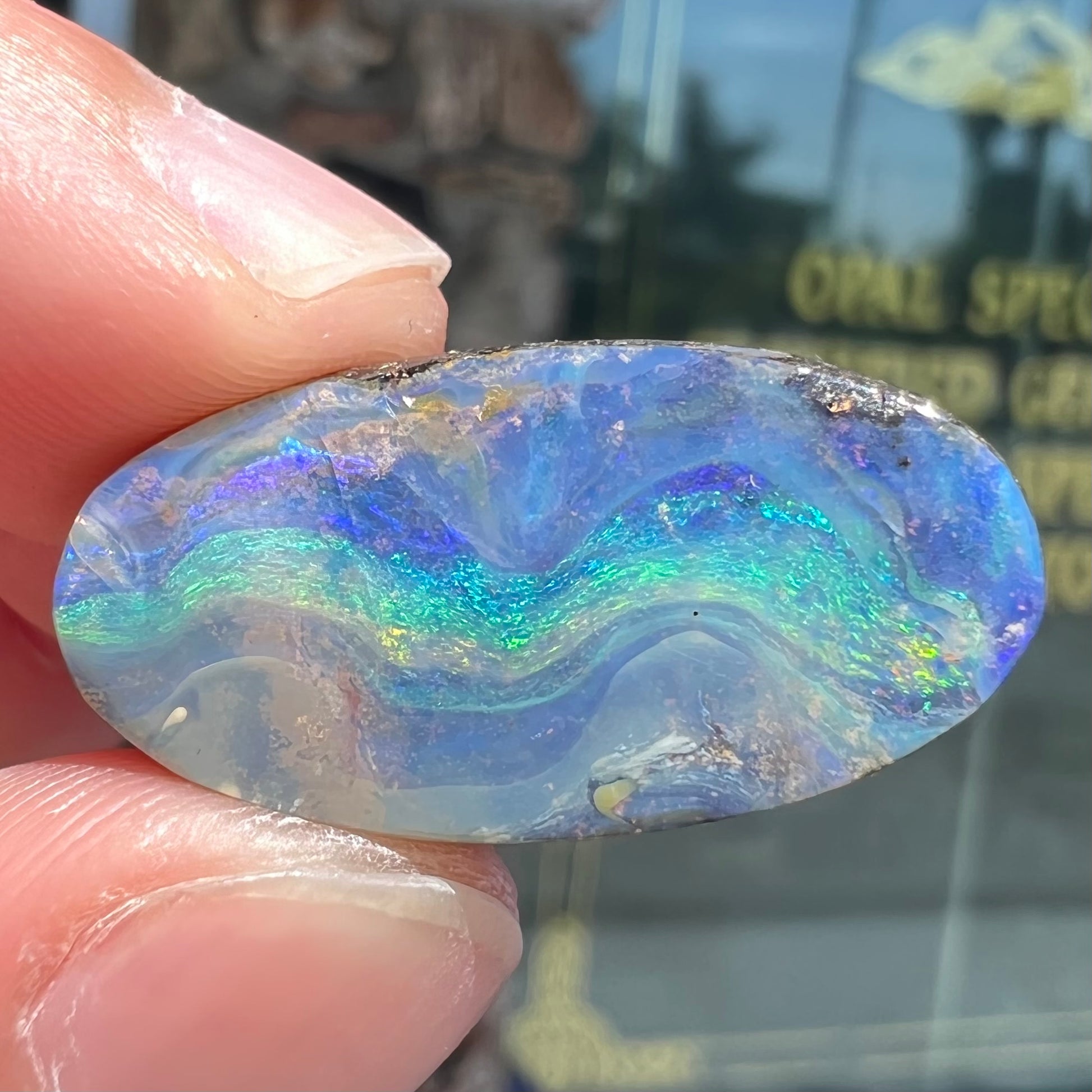 A loose, oval cabochon cut Quilpie boulder opal from Queensland, Australia.  The stone is blue with green fire.