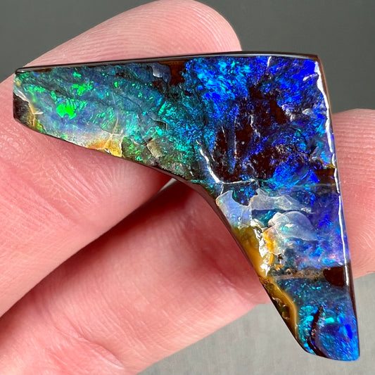 A loose, boomerang shaped boulder opal stone from Quilpie, Australia.  The stone is predominantly blue and green.