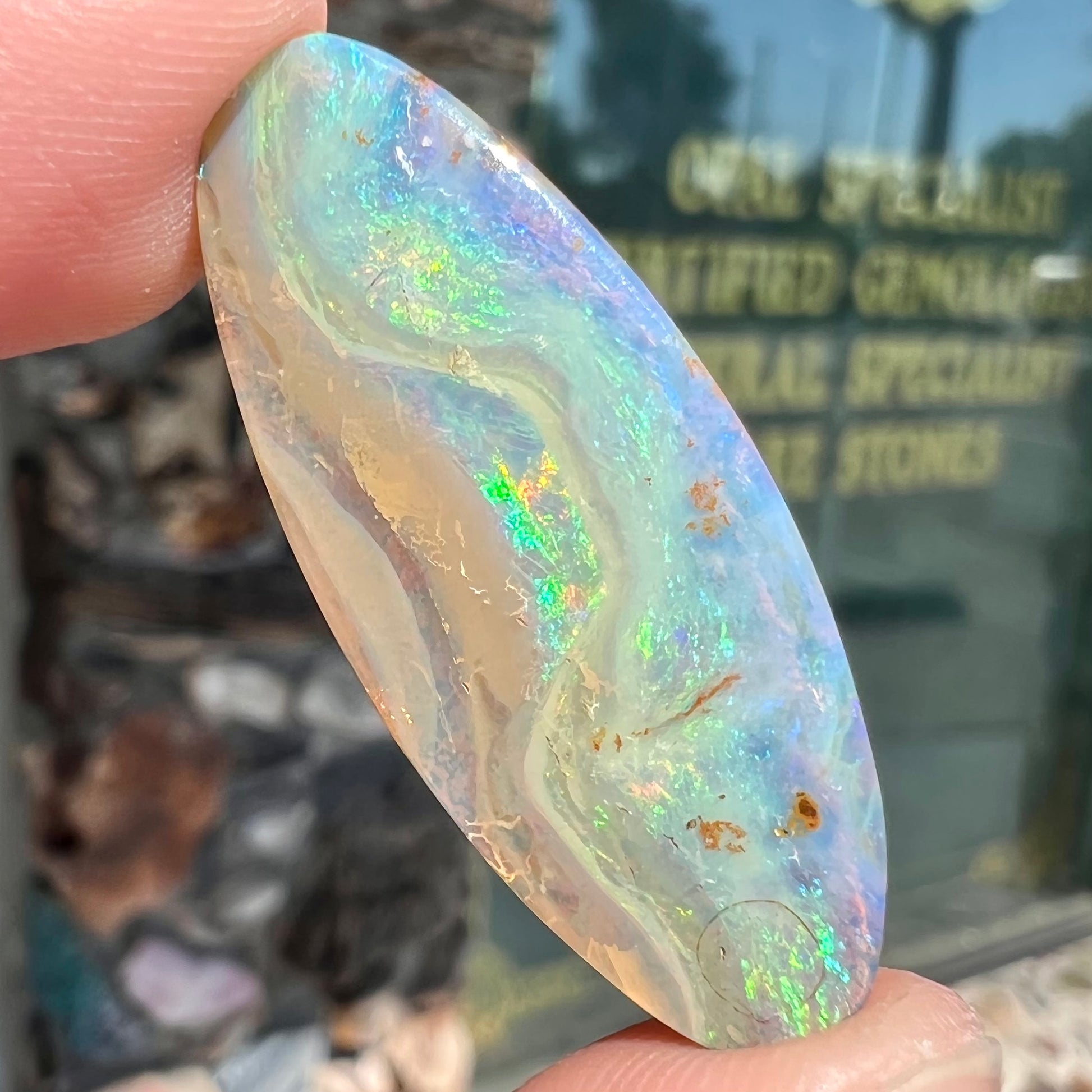 A loose, oval cabochon cut opal from Quilpie, Australia.  Blue, red, and green colors can be seen.