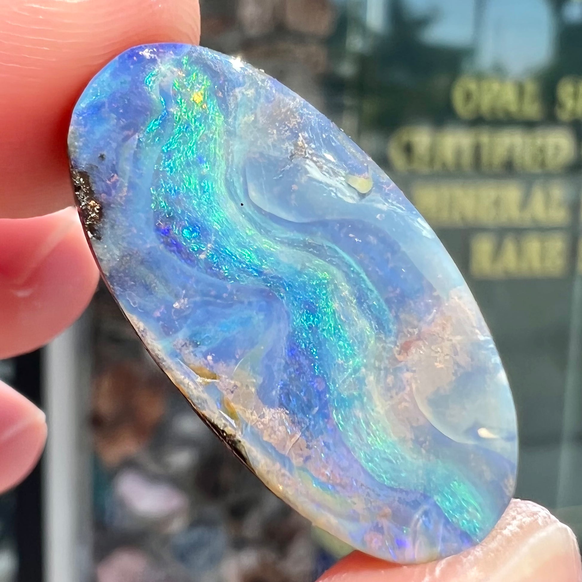 A loose, oval cabochon cut Quilpie boulder opal from Queensland, Australia.  The stone is blue with green fire.