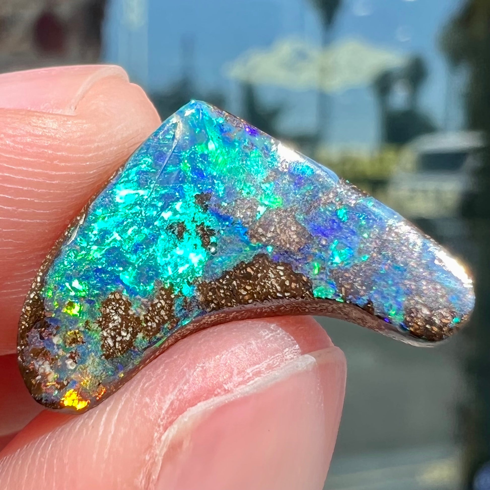 A loose, polished, boomerang shaped boulder opal stone from Queensland, Australia.