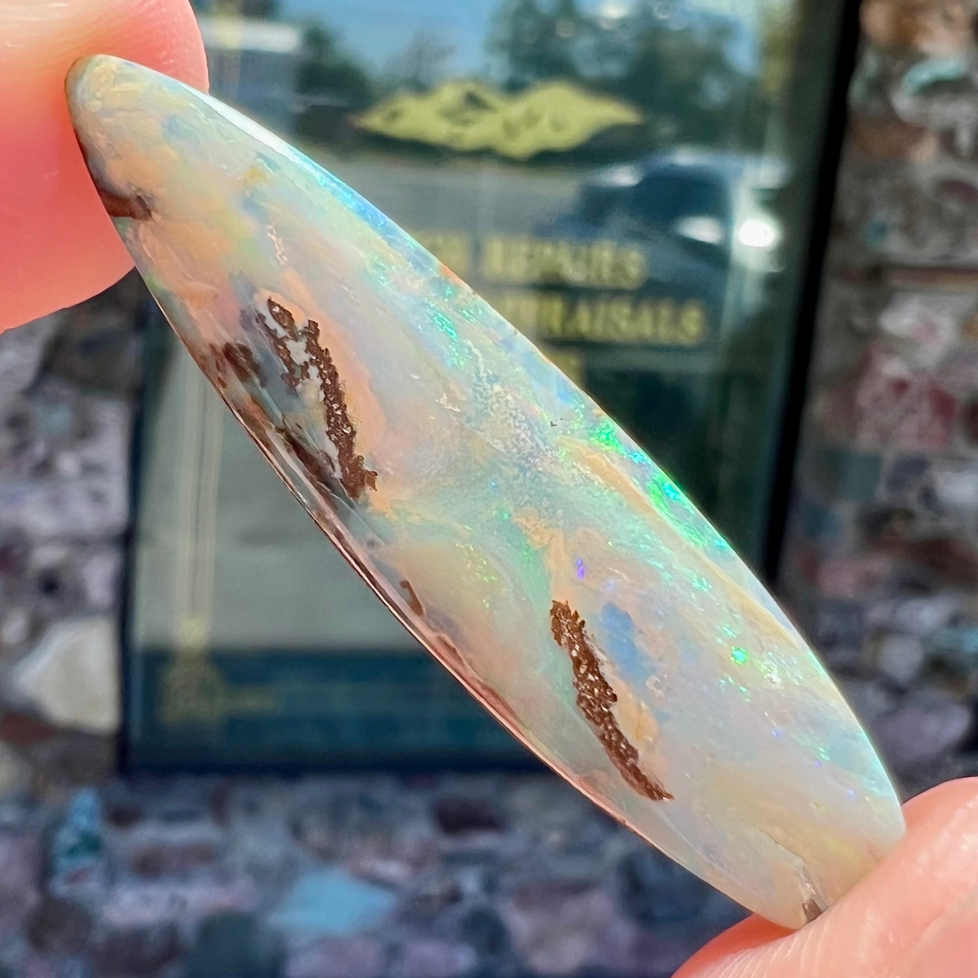 A loose, polished, point shape Quilpie boulder opal stone from Queensland, Australia.
