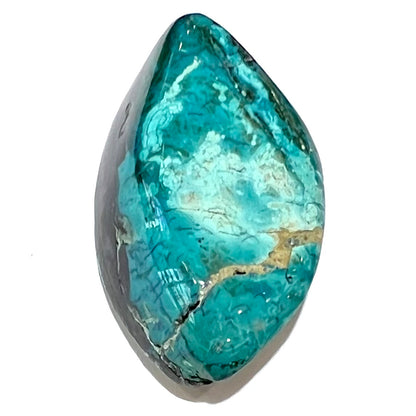A loose chrysocolla stone with turquoise inclusions.