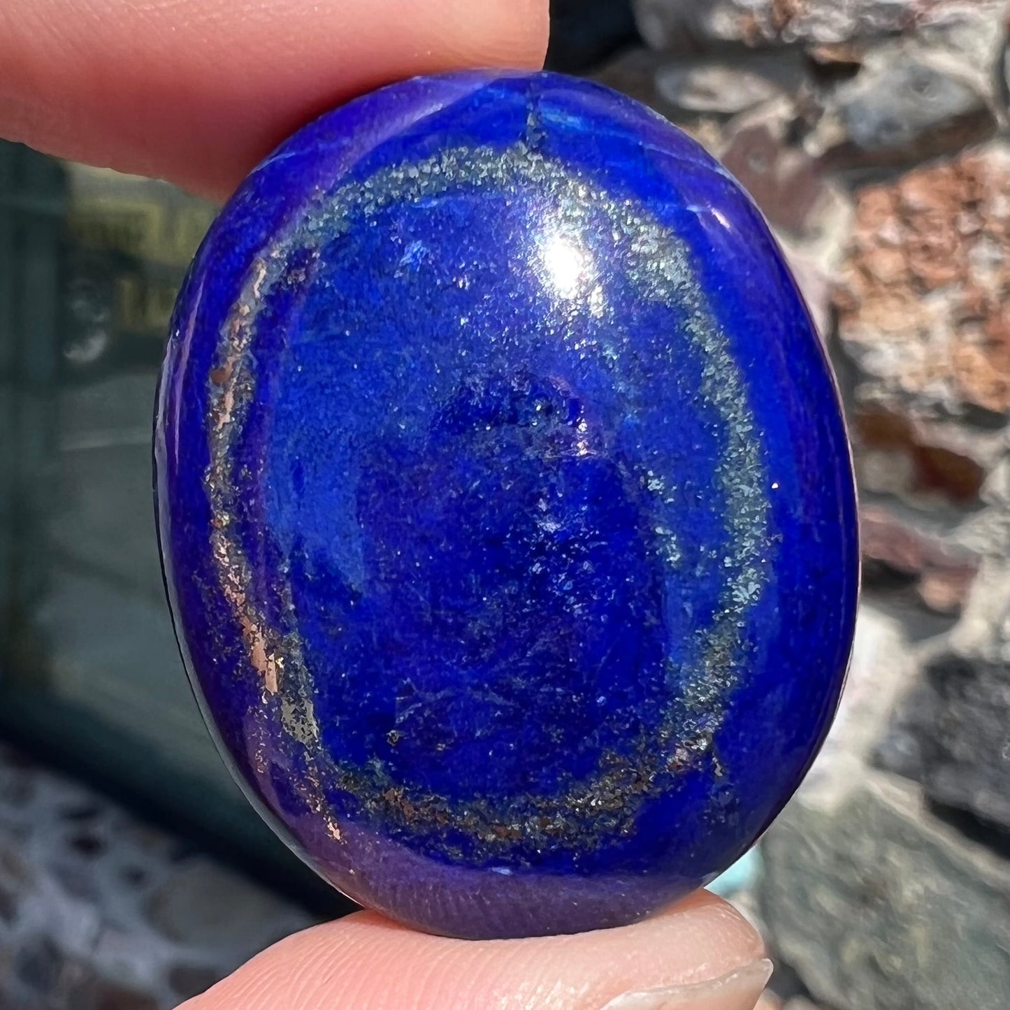 A loose, oval cabochon cut lapis lazuli stone.  A circle of pyrite inclusions is seen on the front.