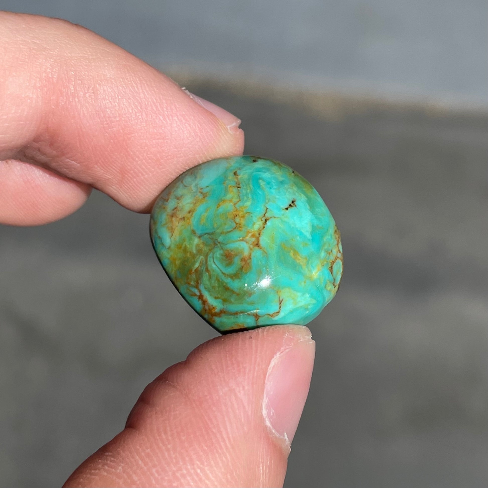A loose, polished turquoise cabochon from Manassa, Colorado.