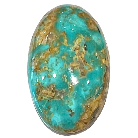An oval cabochon cut turquoise stone from Manassa, Colorado.