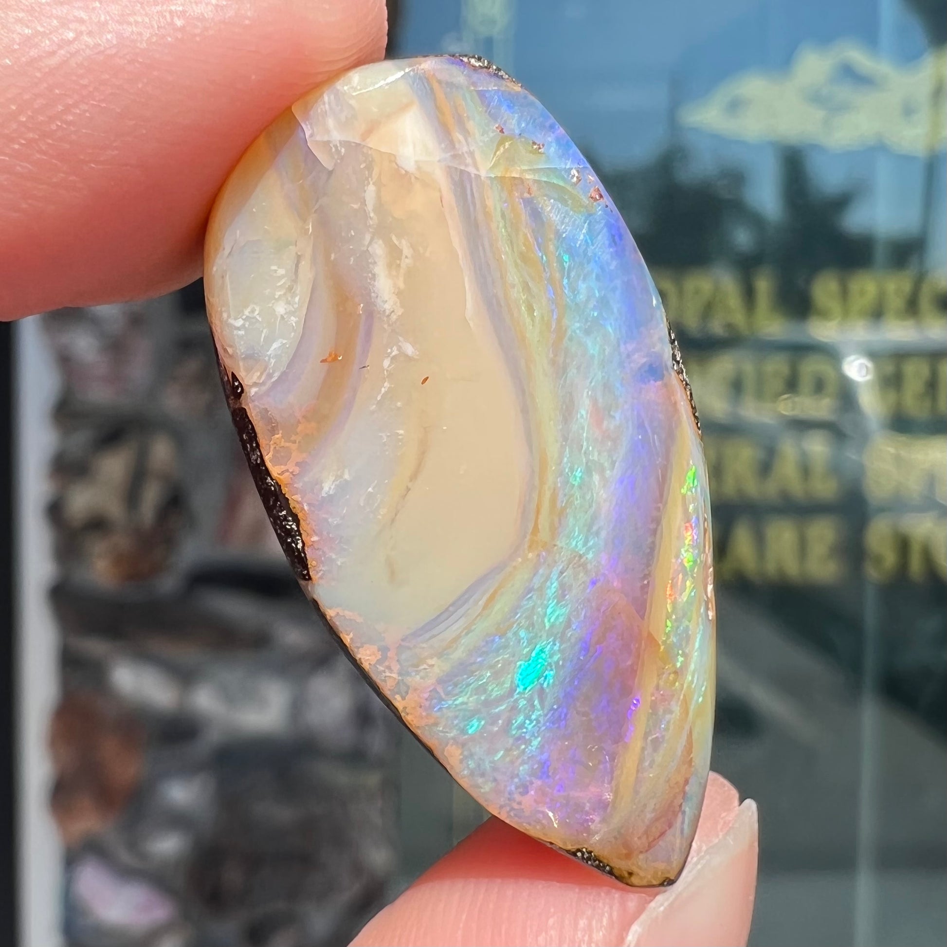 A loose, pear shaped cabochon cut boulder opal stone from Quilpie, Australia.