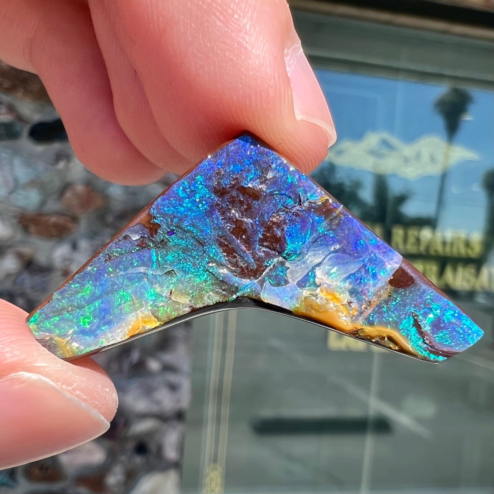A loose, boomerang shaped boulder opal stone from Quilpie, Australia.  The stone is predominantly blue and green.