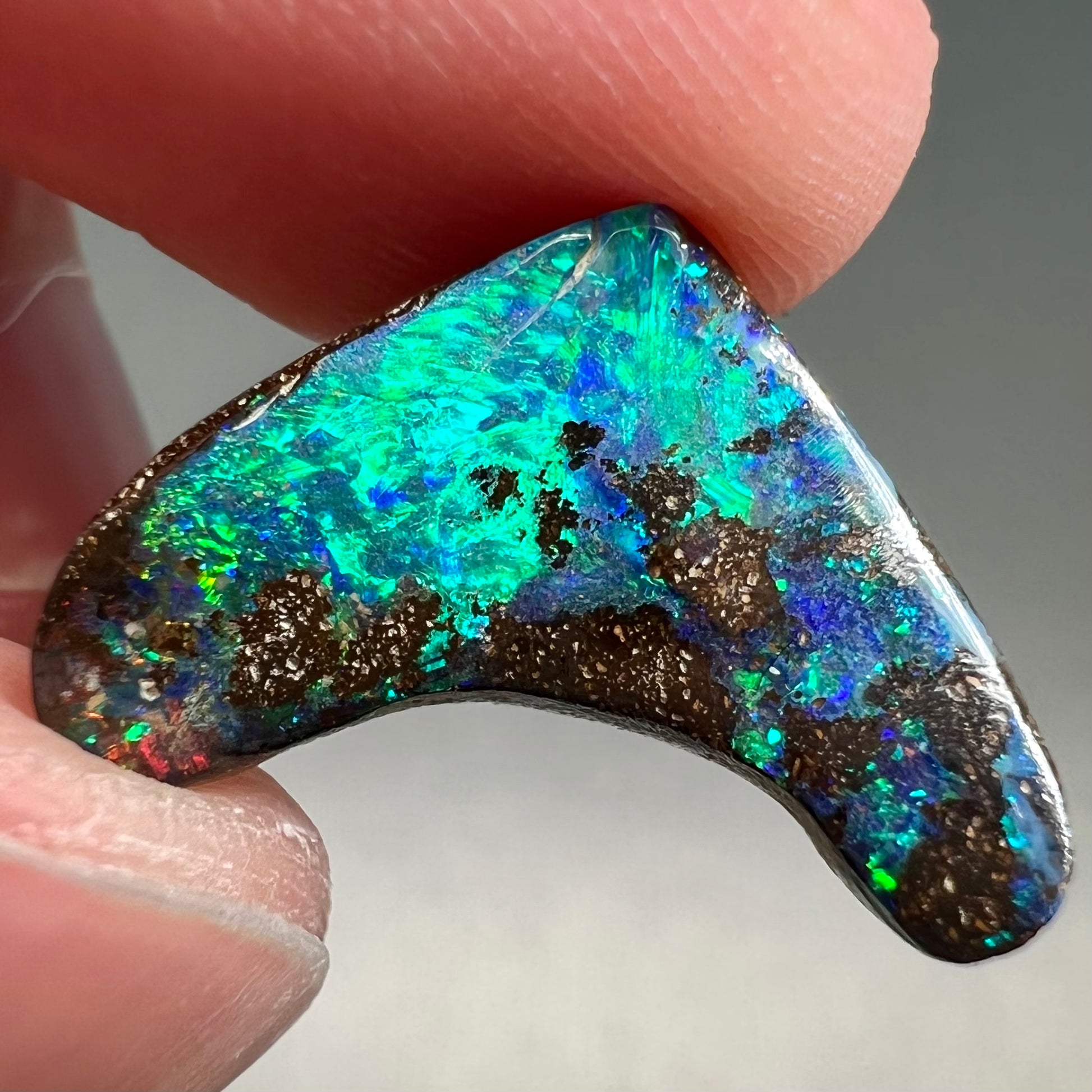 A loose, polished, boomerang shaped boulder opal stone from Queensland, Australia.