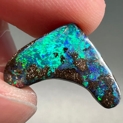 A loose, polished, boomerang shaped boulder opal stone from Queensland, Australia.