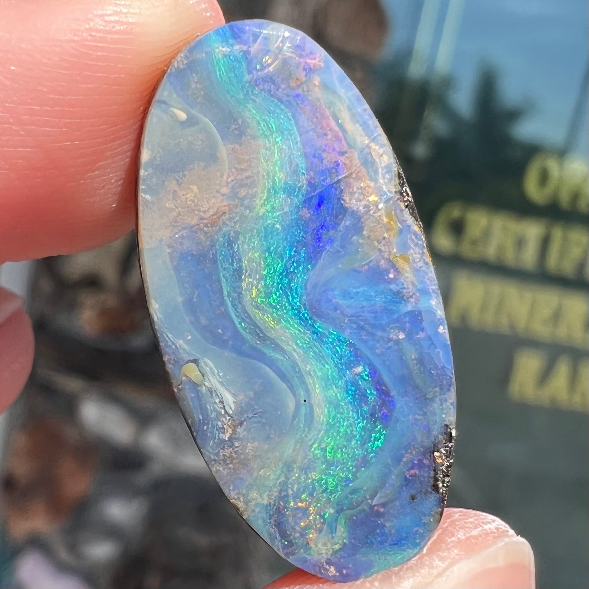 A loose, oval cabochon cut Quilpie boulder opal from Queensland, Australia.  The stone is blue with green fire.