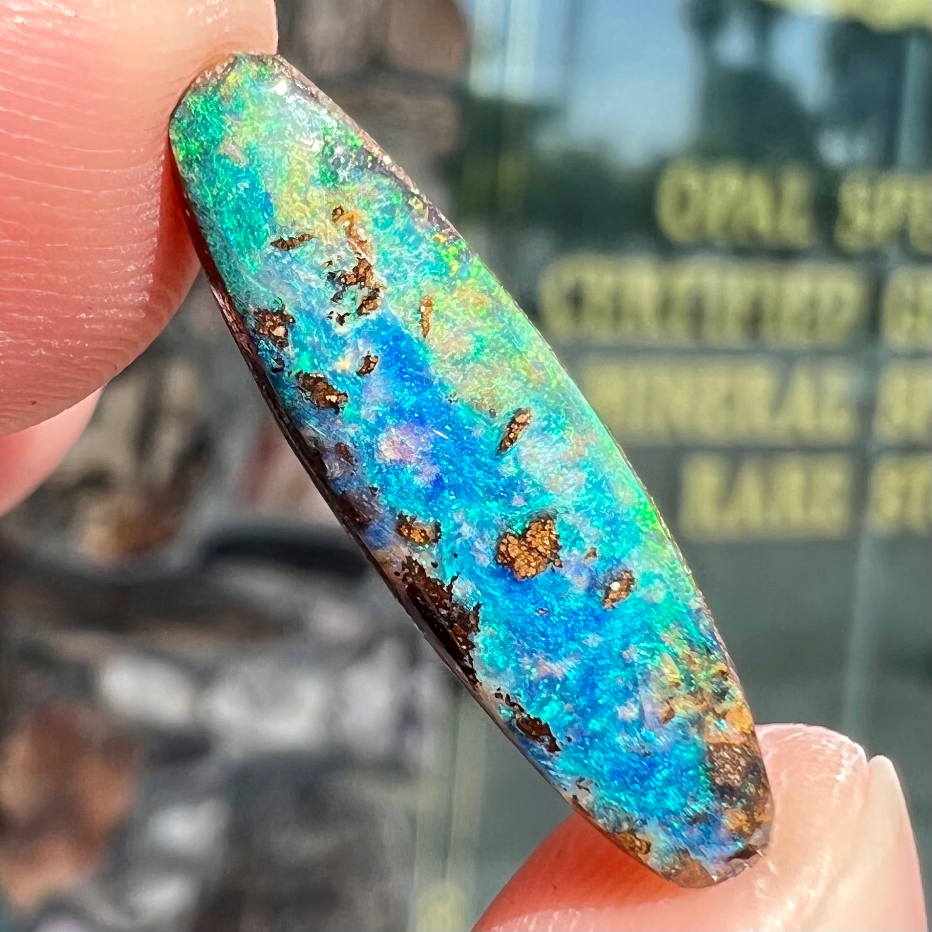 A loose, oval cabochon cut Australian boulder opal from Quilpie, Australia.  Predominant colors are blue and green.