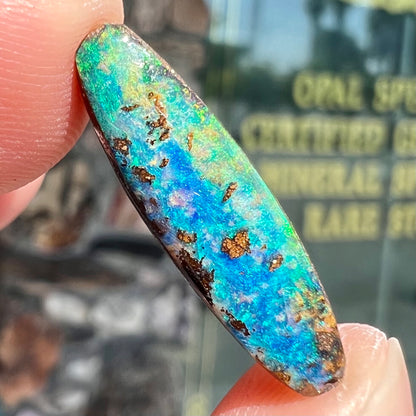 A loose, oval cabochon cut Australian boulder opal from Quilpie, Australia.  Predominant colors are blue and green.