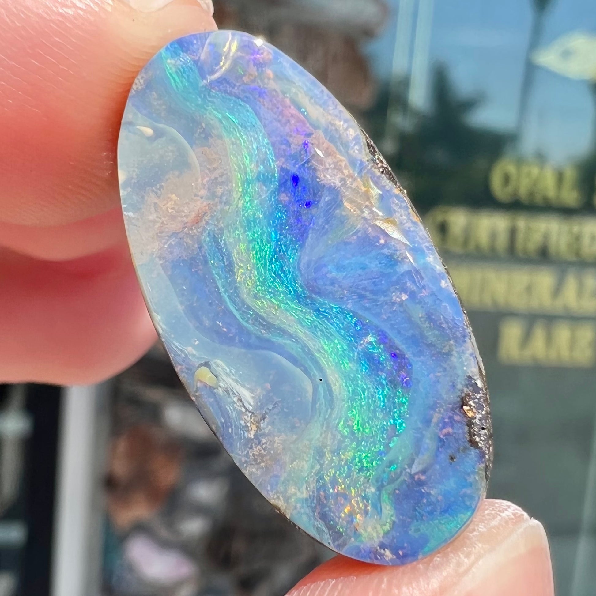 A loose, oval cabochon cut Quilpie boulder opal from Queensland, Australia.  The stone is blue with green fire.