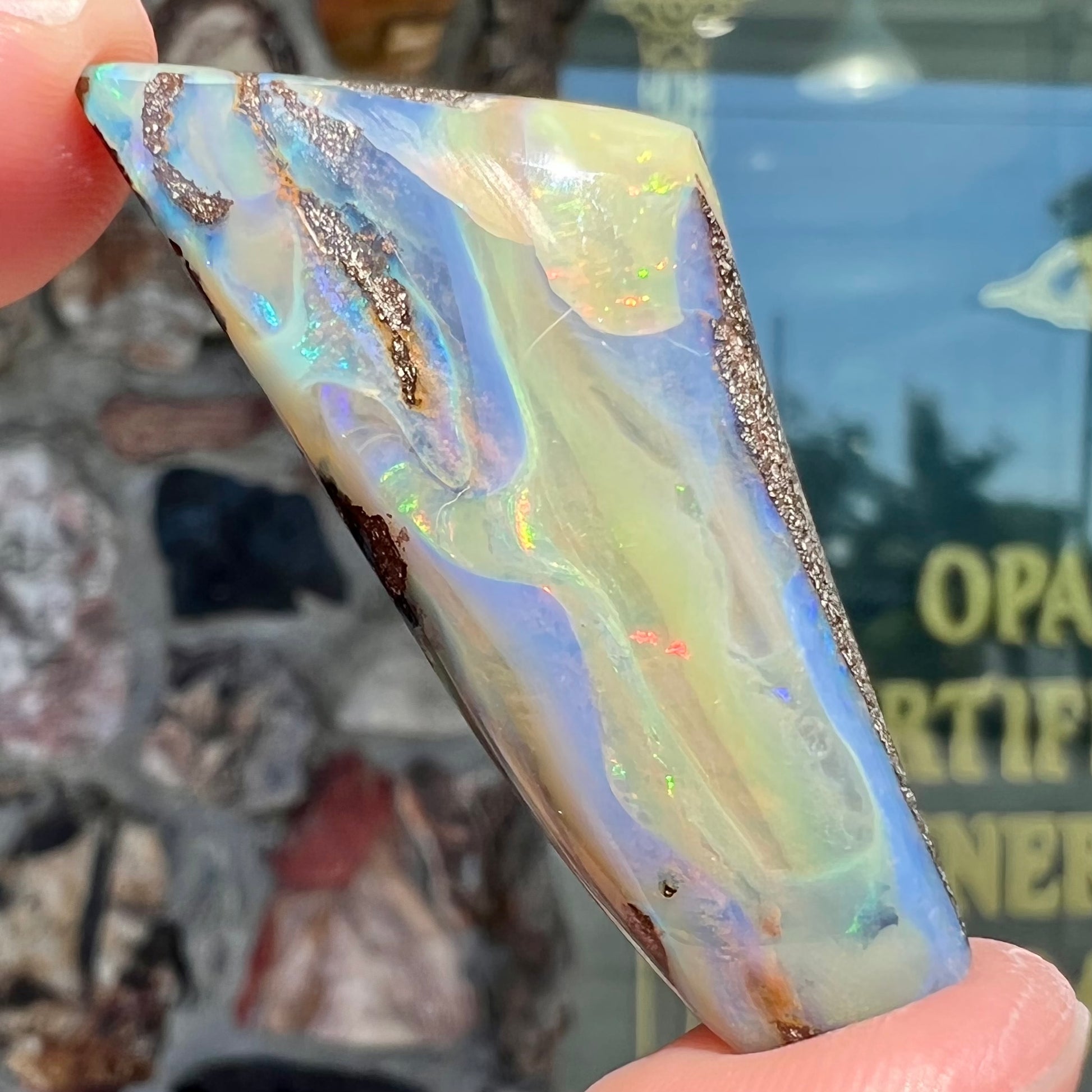 A freeform shaped, polished boulder opal stone from Queensland, Australia.  The stone has red, orange, green, and blue fire.