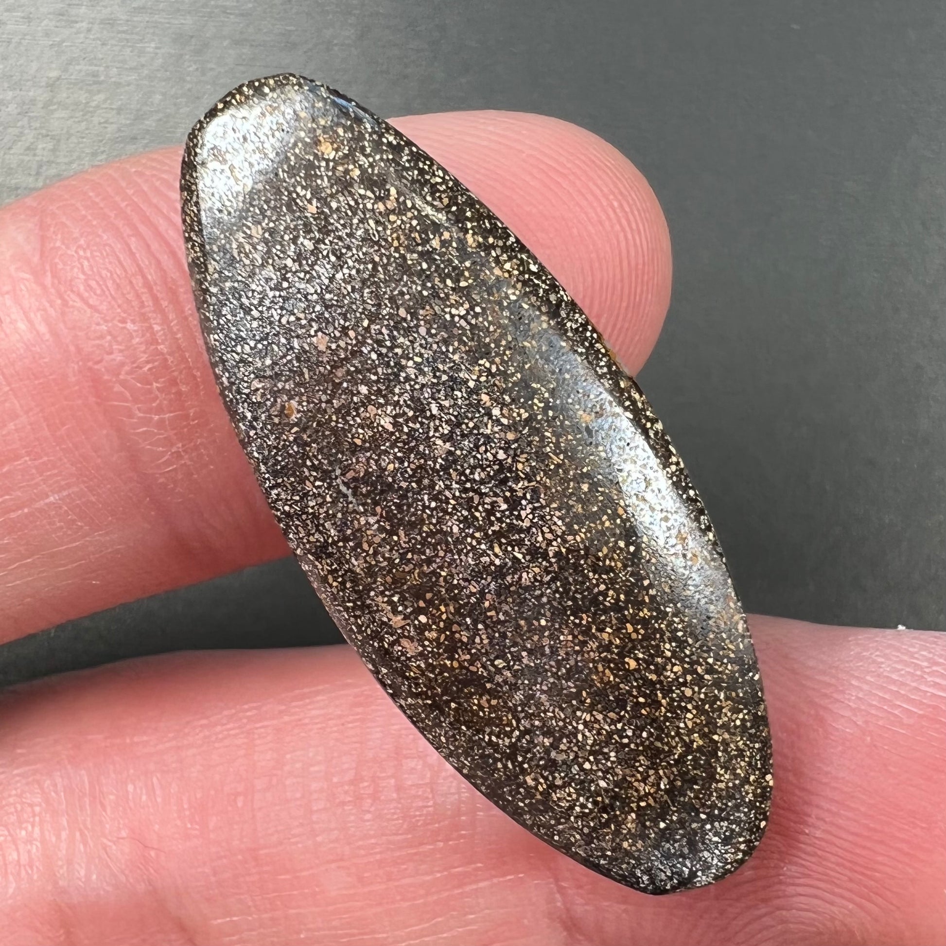 A loose, oval cabochon cut opal from Quilpie, Australia.  Blue, red, and green colors can be seen.