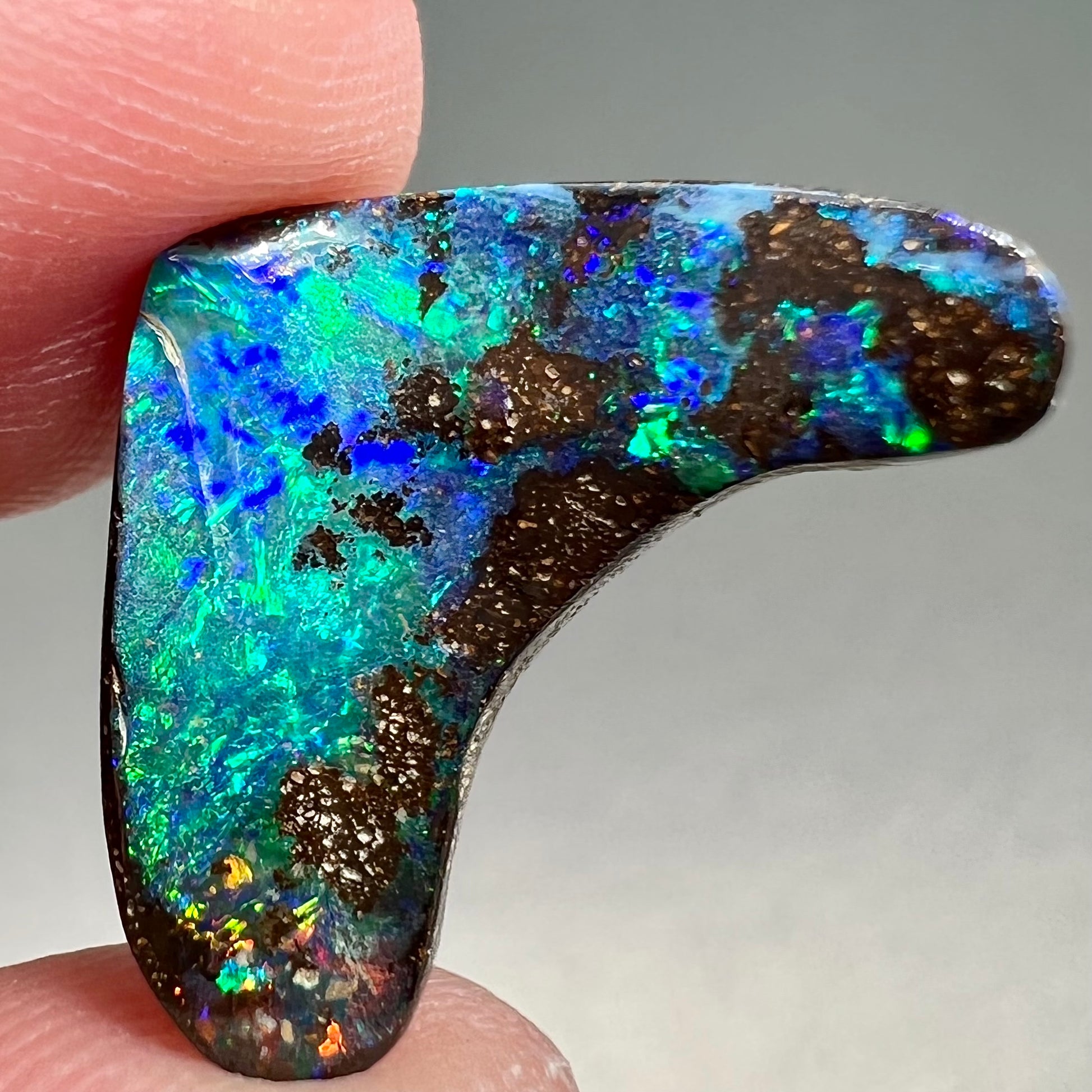 A loose, polished, boomerang shaped boulder opal stone from Queensland, Australia.