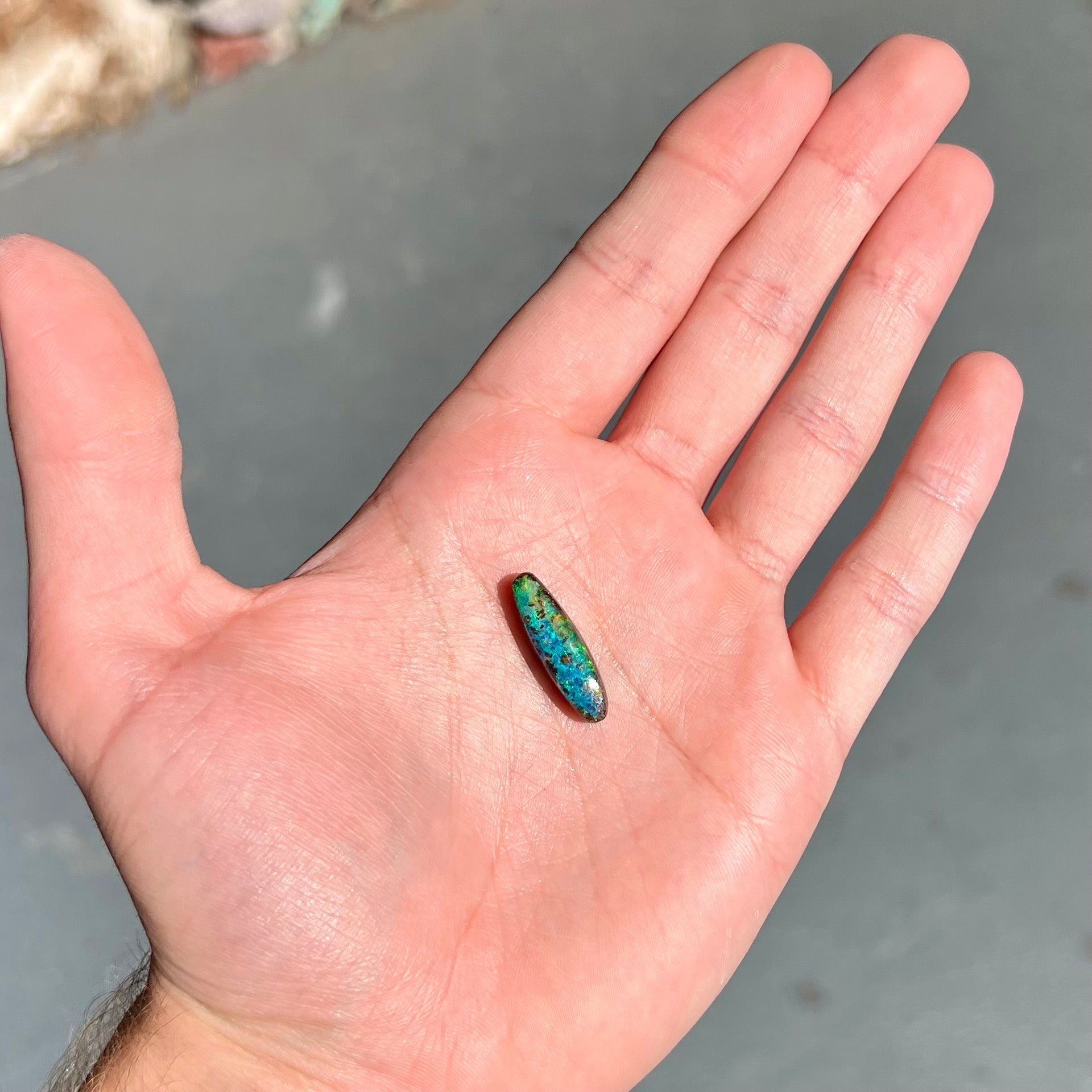 A loose, oval cabochon cut Australian boulder opal from Quilpie, Australia.  Predominant colors are blue and green.