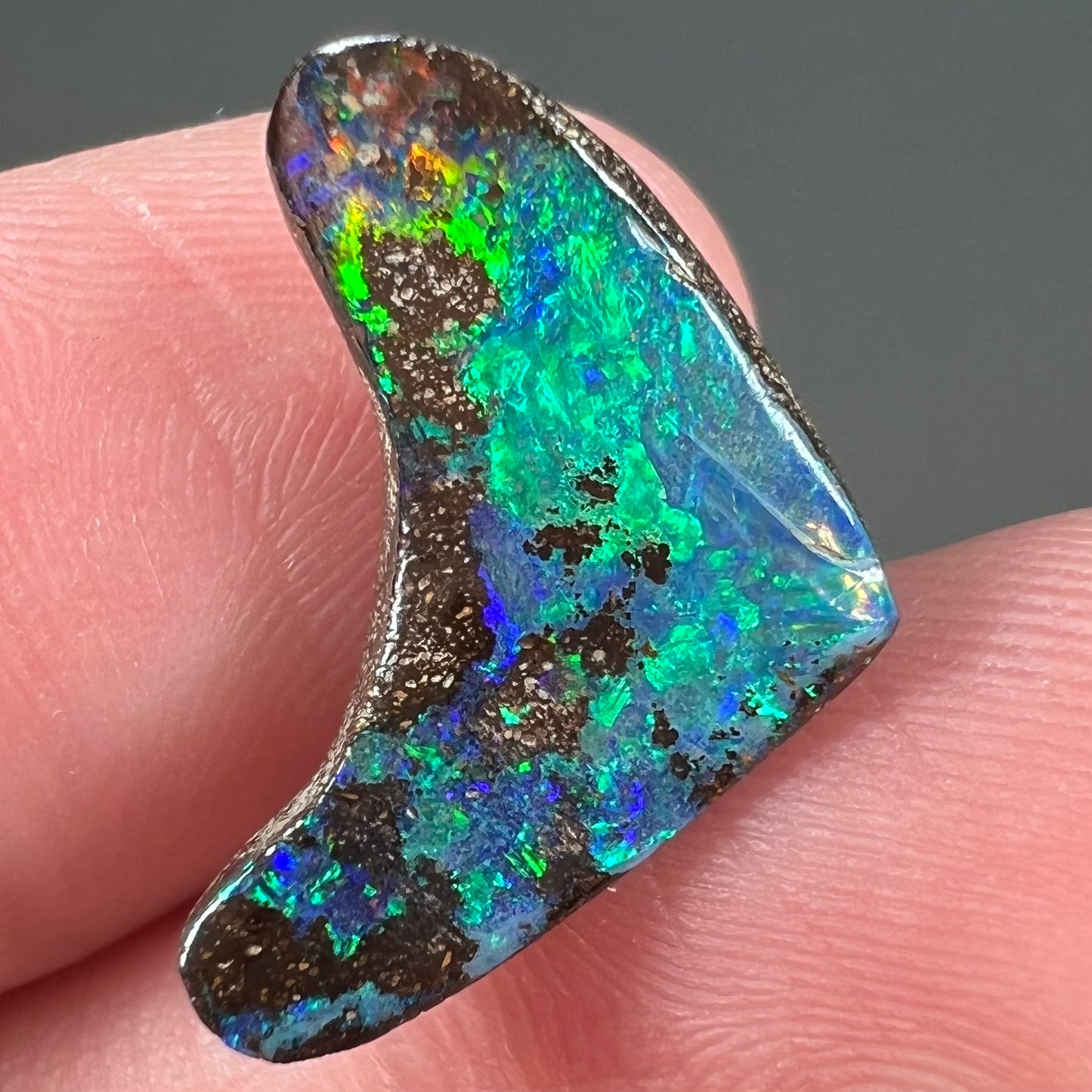 A loose, polished, boomerang shaped boulder opal stone from Queensland, Australia.