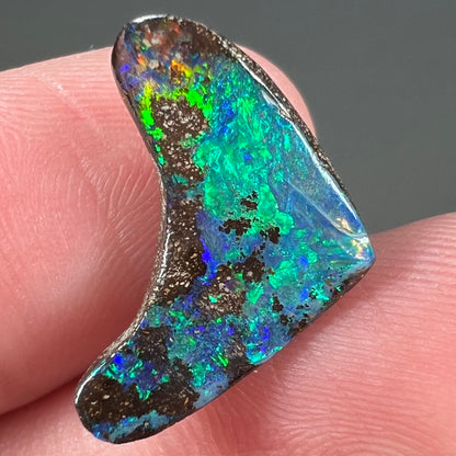 A loose, polished, boomerang shaped boulder opal stone from Queensland, Australia.