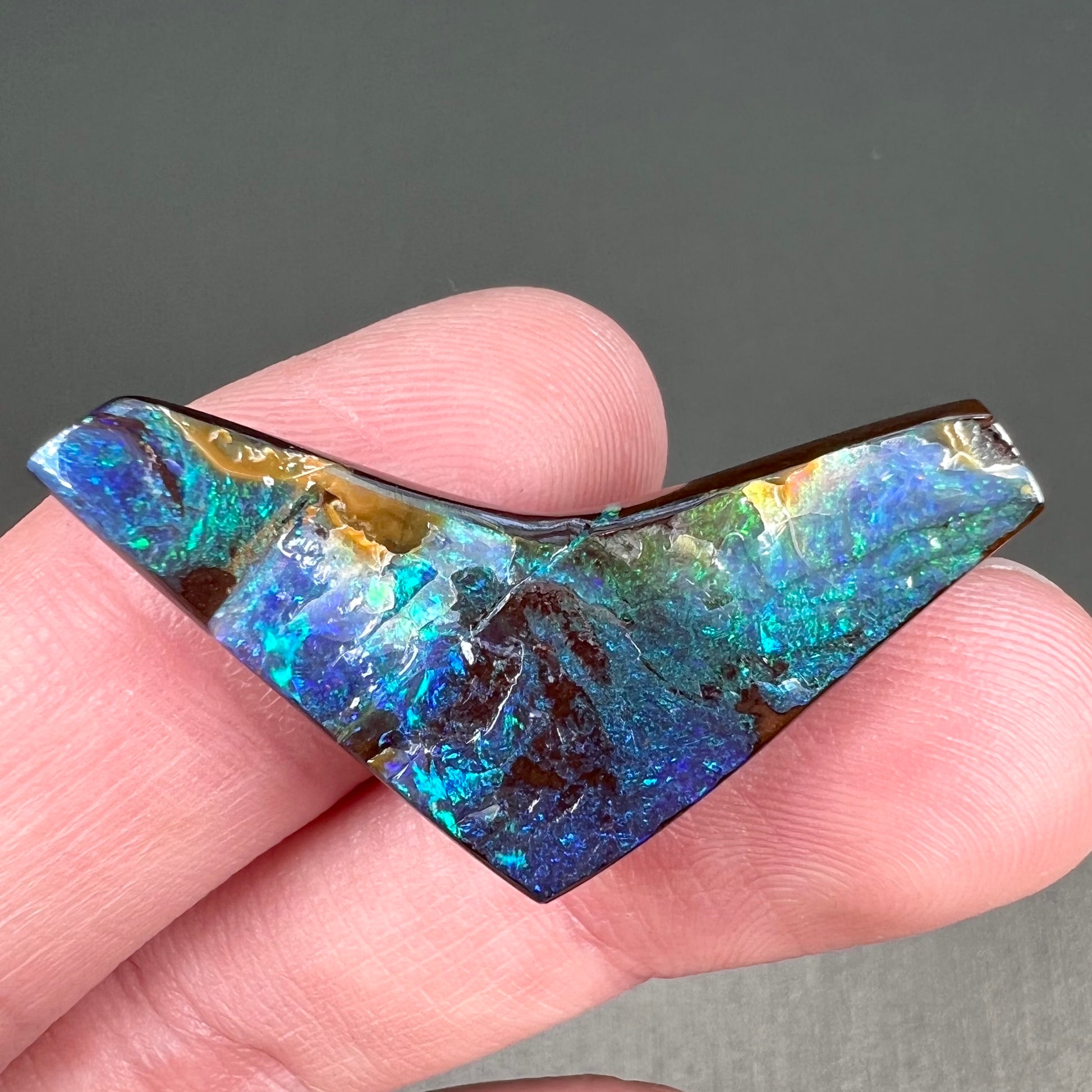 A loose, boomerang shaped boulder opal stone from Quilpie, Australia.  The stone is predominantly blue and green.