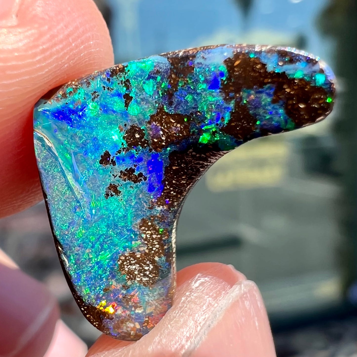 A loose, polished, boomerang shaped boulder opal stone from Queensland, Australia.
