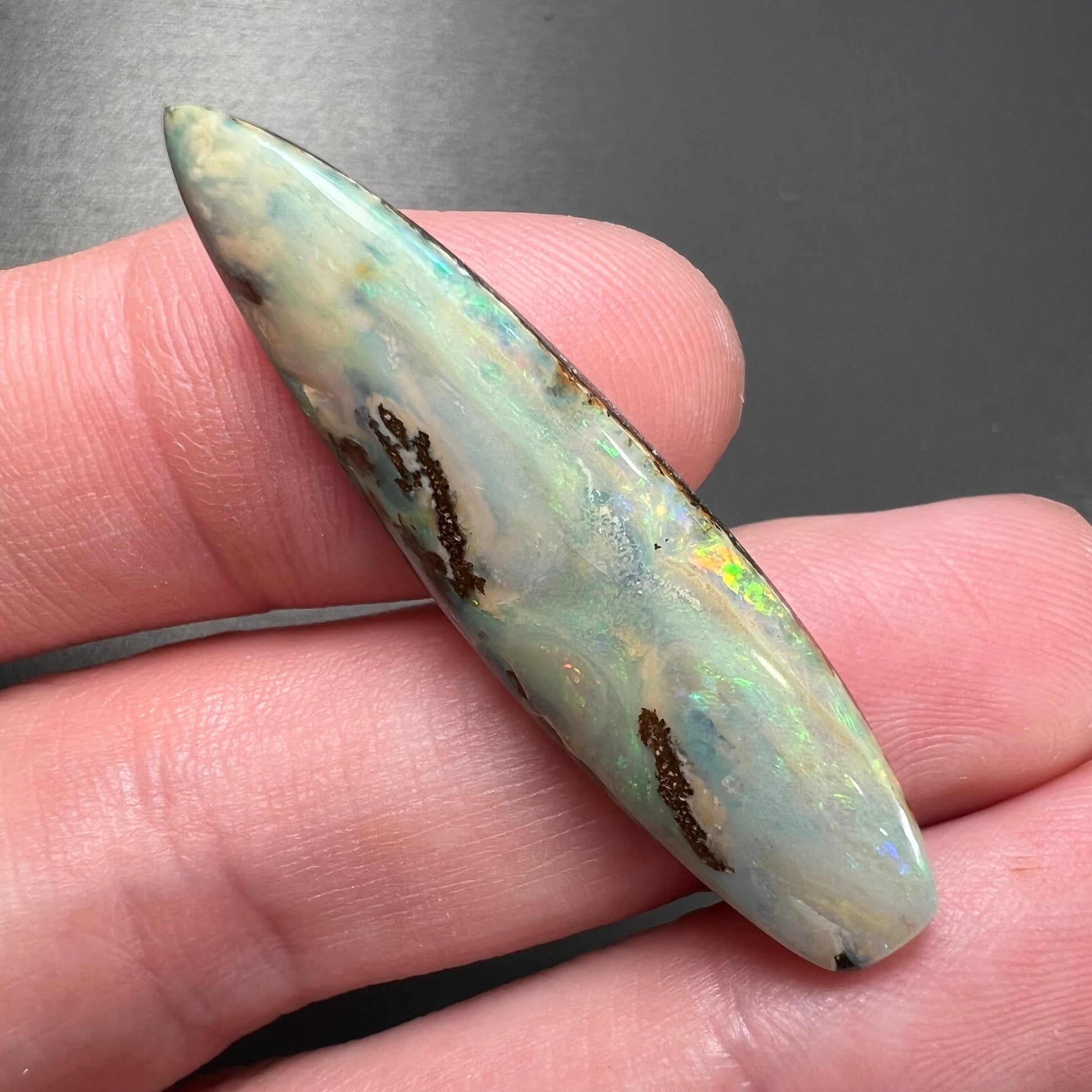 A loose, polished, point shape Quilpie boulder opal stone from Queensland, Australia.