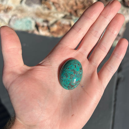 A loose, oval cabochon cut Tyrone turquoise stone.