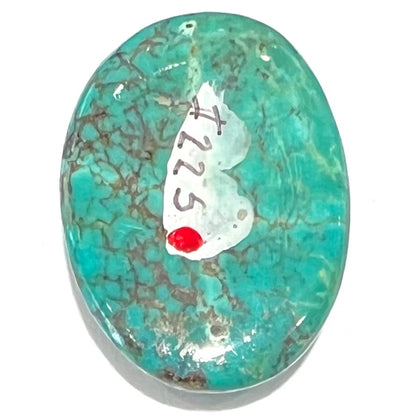 A loose, oval cabochon cut Tyrone turquoise stone.