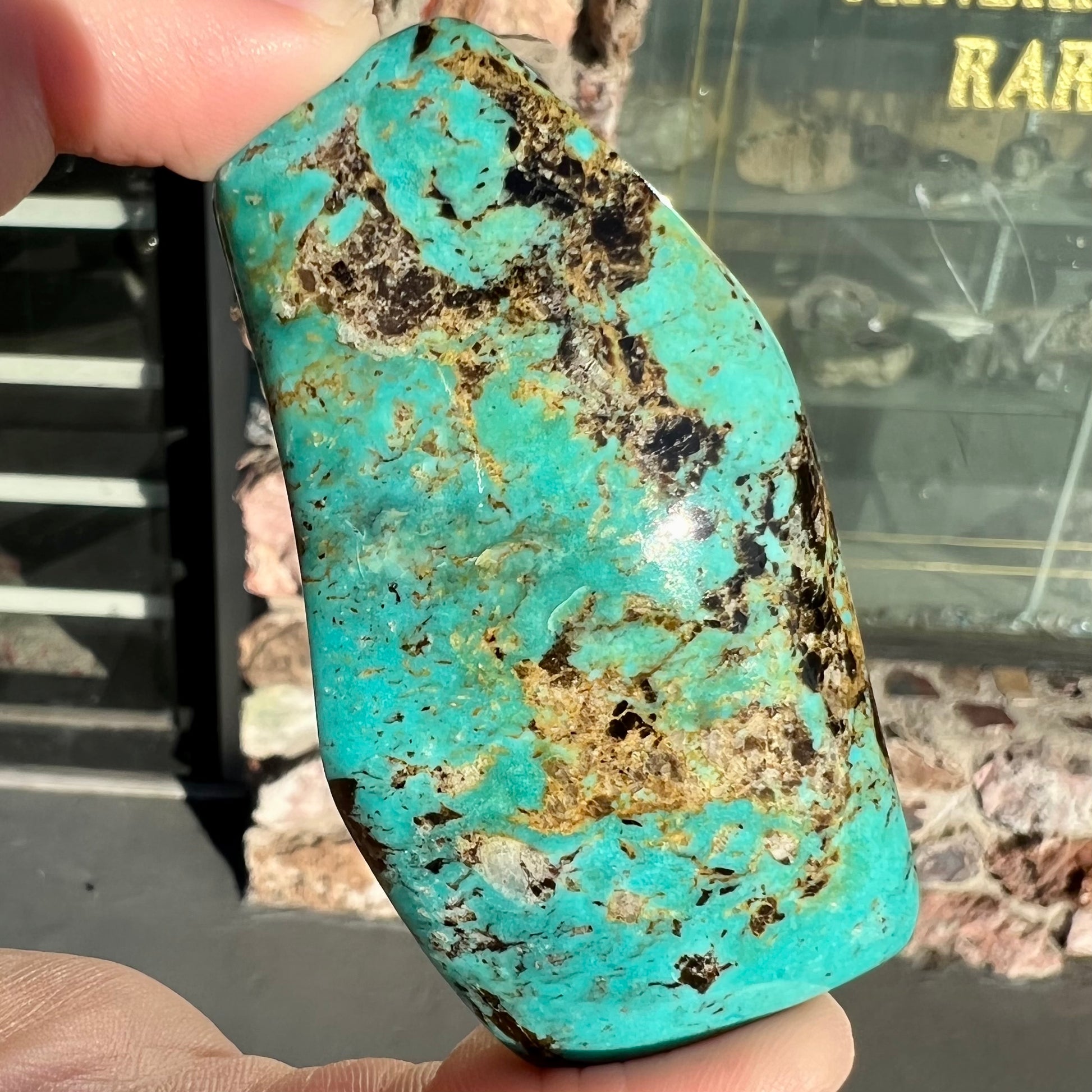 Loose turquoise stone from Cow Springs, Nevada.  Black and white matrix is visible.