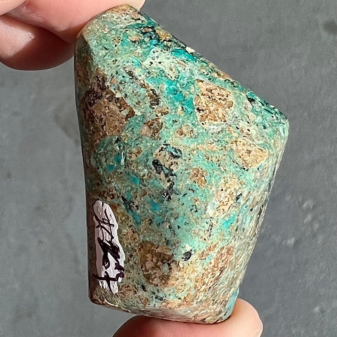 A loose polished chrysocolla stone with malachite inclusions.