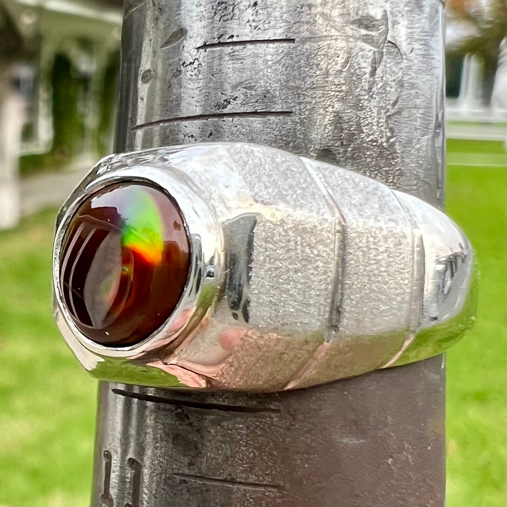 A round cabochon cut red and green fire agate set in a brushed metal white gold men's ring.