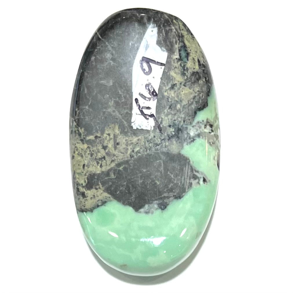 Turquoise #69 | Badger