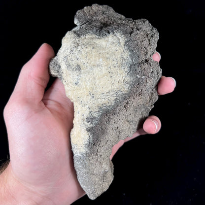 A native silver ore specimen from Colorado, USA.