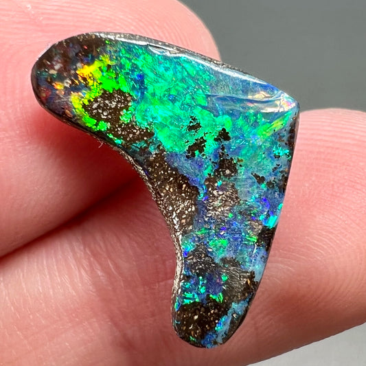 A loose, polished, boomerang shaped boulder opal stone from Queensland, Australia.