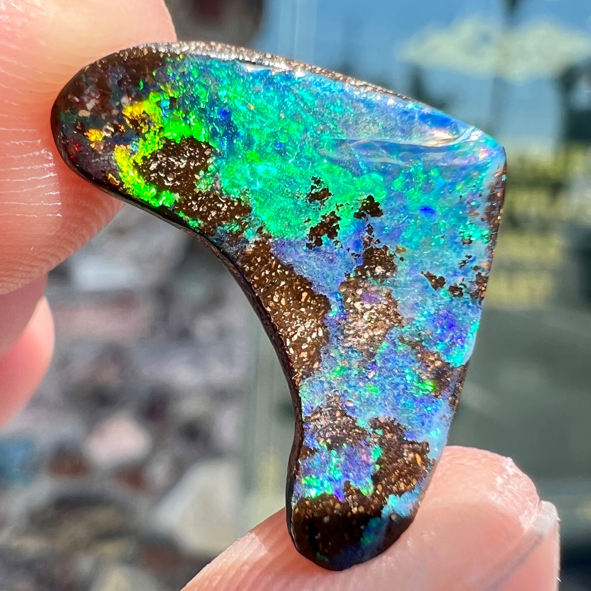 A loose, polished, boomerang shaped boulder opal stone from Queensland, Australia.